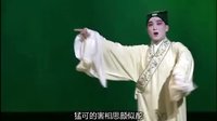 昆曲 青春版《牡丹亭百场纪念版  中本》