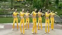《天上掉下个林妹妹》  广场舞
