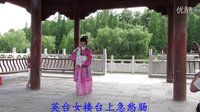 黄梅戏梁祝姻缘《秋风阵阵》