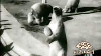 侯宝林相声电影 《游园惊梦》