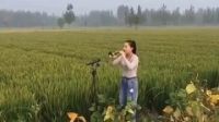 唢呐版《歌在飞》太好听了