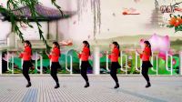 青儿广场舞《马背上的情歌》