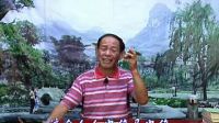 河南大鼓书《罗红征南》第八集