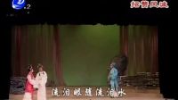 莆仙戏《招赘风波》全剧 标清