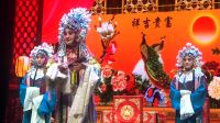 晋剧王小平《打金枝》精彩选段
