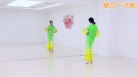 糖豆广场舞《过河》