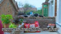 《乡村爱情9》刘能翻身 谢大脚路遇王长贵下载