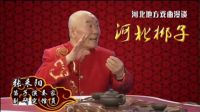 河北梆子漫谈《第十四集 伴奏》