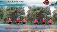 糖豆广场舞 广场舞《山丹丹花开红艳艳》