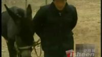 吕剧介绍 标清