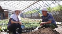 《乡村爱情9》30集大结局下载