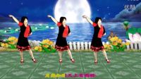 2016最新吕芳广场舞《月亮知道》正背面及分