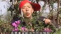 云南山歌剧《大闹风流窝》第二集 标清