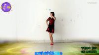 2017最新广场舞《姐就是这么拽》有教学和背