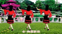 吕芳广场舞《接新娘》正背面演示及分解动作