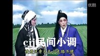 泗州戏《皮秀英四告》 全集