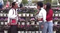 云南山歌剧《打工妹智逗花心老板》全集 标