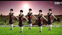 简单的吕芳广场舞《九九艳阳天》正背面演示 高清下载
