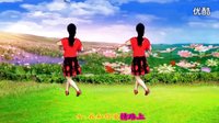 吕芳广场舞《今生的唯一》正背面及费解动作