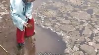柳琴戏《美人画下凡》下