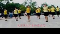 广场舞视频教程穿心村广场舞《最炫民族风56