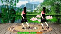 最新吕芳广场舞《潇洒走一回》简单流畅 正
