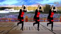 吕芳广场舞《对着月亮说我爱你》正背面演示 高清下载