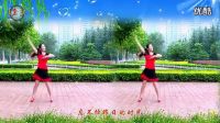 金灿灿广场舞蹈视频大全 广场舞教学《一生