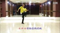 糖豆广场舞《我从草原来》