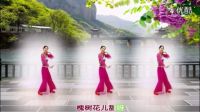 2017新春特辑 广场舞精选金灿灿广场舞《槐