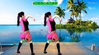 2017吕芳广场舞《爱谁谁谁》正背面加分解动作下载