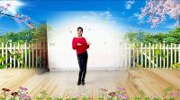 2017最新新年舞《小鸡小鸡》阿采广场舞 有