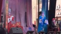 赞皇丝弦《真假牡丹》5
