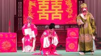 楚剧片段《棒打无情郎》下载