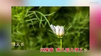 扬剧伴奏《孔繁森  感谢娘》