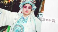 最美中国大平调网