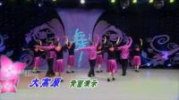 王广成广场舞大全中老年健身舞