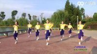 广场舞《草原情怀》王广成广场舞专辑