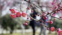 扬剧伴奏《梁祝  单下山》