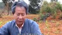 民间小调《儿子不孝遭报应》上集