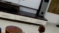 悠悠看高甲戏