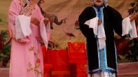 莱芜市茶业口镇花林村文艺演出2017季