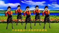 吕芳广场舞正背面演示《不要迷恋姐》 标清