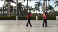 王广成广场舞《我的心在飞》