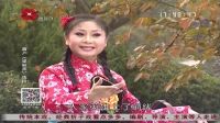 眉户《梁秋燕 阳春儿》选段2017 03