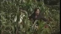云南山歌剧《花心婆娘爱帅哥》云贵歌后马丽波下载