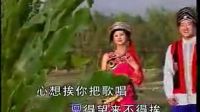 云南山歌剧《山歌唱到一百岁 4》标清