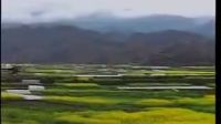 云南山歌剧《山歌唱到一百岁 2》标清