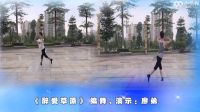廖弟春丽广场舞《醉爱草原》表演与动作分解