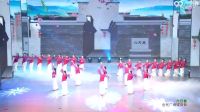 张春丽丽人广场舞《六尺巷》表演